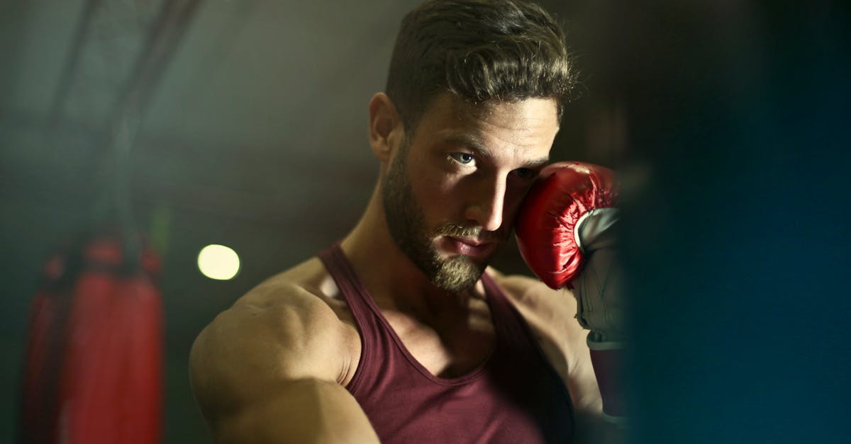 Top 10 des meilleures machines de boxe musicale pour des entraînements ...